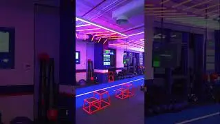 The Most Stunning F45 Training Studio Yet? Designed to Move You by Echelle Architects