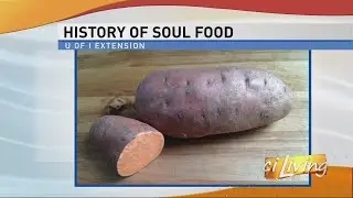 History of Soul Food