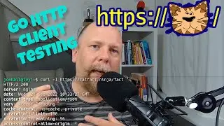 How to test your Go HTTP client: Two approaches