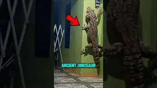 4 животных крупнее древних динозавров 😱