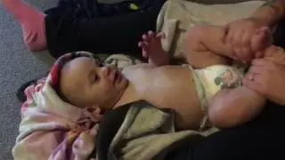 Mr. Blue Eyes tummy zerberts