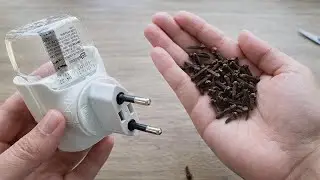 Просто поместите CLOVES в ПУСТОЙ RAID-массив, и эта проблема больше никогда не возникнет у вас дома.