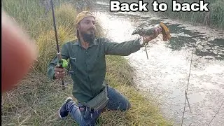 NEW SPOT SNAKEHEAD FISHING ! Snakehead fishing videos ! Fishing adventures 
