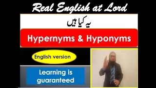What are Hypernyms and Hyponyms?