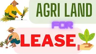 Agriculture Land for Lease (9Acre)