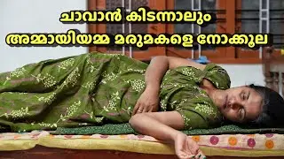 അമ്മായിയമ്മയെ നോക്കേണ്ടത് മരുമകളുടെ കടമയോ | Ammayum Makkalum | Malayalam Web Series 