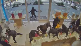 20 masked robbers storm California jewelry store, steal $1M