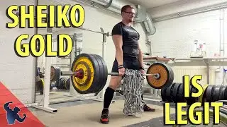 My First Month of Sheiko Gold (AI Program/App) | Sheiko Gold Training Log