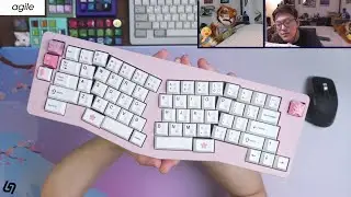 Jacky Bear 65 Build Stream