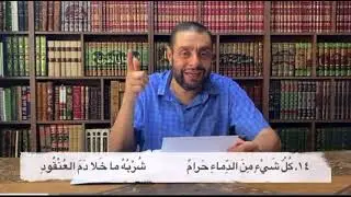 كم قتيل كما قتلت شهيد - المتنبي