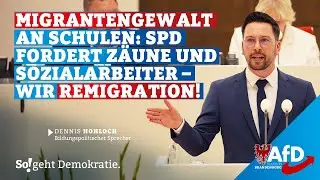 🤦&zwj;♂️ Migrantengewalt an Schulen: Die SPD setzt auf Sozialarbeiter, wir auf Remigration!