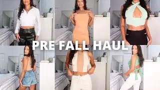 PRE-FALL HAUL 2021 *try on* (Zara, Aritzia, H&M, Princess Polly)