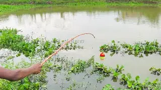 Fishing Video || If you learn fishing from village boy, you will be able to catch fish very easily.