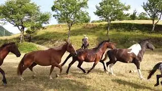 Butteri de noartri...