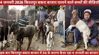 किरतपुर बकरा बाजार 4 जनवरी 2026 पालने वाले बकरी के छोटे बच्चों की वीडियो दूध वाली बकरियों की वीडियो