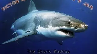 Victor Montsaint vs.  Loco & Jam  - The Shark Medusa ( CandyMan Minimal Mashup Remix )