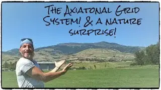 The Axiatonal Grid System! & A Nature Surprise! 6/28/19