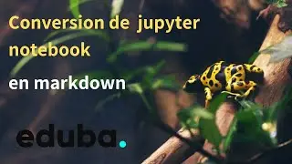 Conversion de jupyter notebooks en markdown, html, pdf, revealjs via nbconvert