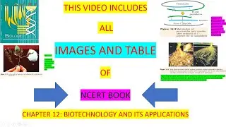 class 12 biology chapter 12 | BIOTECHNOLOGY AND ITS APPLICATIONS | ncert all images and table | NEET