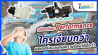 เปรียบเทียบ Performance Emaux SB Pump- Laswim SWPB Pump ใครเงียบกว่า มอเตอร์ฉนวนทนความร้อนได้ดีกว่า