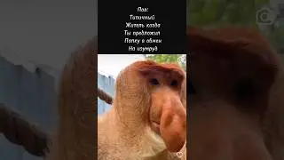 Pov: #legomeme #minecraft #new #lego #meme #memes #ярикlegominecraft