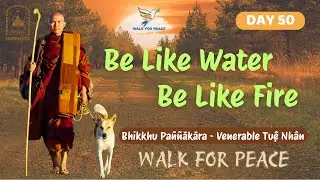 Be Like Water - Be Like Fire | Dhamma Talk | WALK FOR PEACE | Venerable Pannakara | DEC 14 - 25