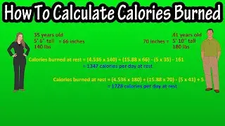 How To Calculate (Estimated) Calories Burned In A Day Explained - Activity Level (Movement) Factor