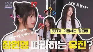 아이브 장원영 빙의된 안유진