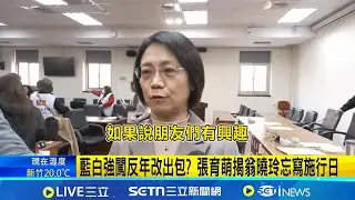 藍白強闖反年改出包? 張育萌揭翁曉玲忘寫施行日 強修反年改結果忘寫施行日? 翁曉玲:造謠｜三立新聞網 SETN.com