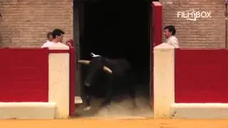 Matador na kanale FilmBox