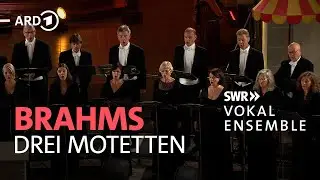 Brahms - Drei Motetten op. 110 | Marcus Creed | SWR Vokalensemble