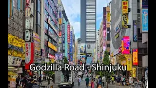 Godzilla Road   Shinjuku