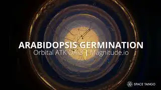 Arabidopsis Germination in Microgravity