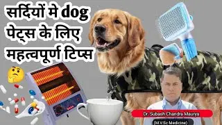 Winter tips for pet Dog / सर्दिओ मे  कुत्तो को ठण्ड से बचाने के उपाय #doctorpets#dogs