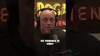 Joe Rogan speaks on bouncing back from failure
