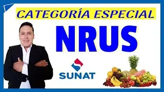 Categor&iacute;a Especial de NRUS | ACTUALIZADO bien explicado