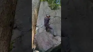 Fern Crack V3 | Gold Bar, WA