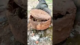 digging for gold adventures in metal detecting #treasurediscoveries #history #metaldetecting #gold