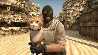 Counter-Cat: Global 𝘱𝘴𝘱𝘴𝘱𝘴𝘱𝘴