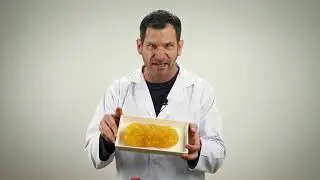 GunnarT's Guide to Guilt-Free Nutrition Part 1