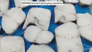 DRYERA Brand Cod heat pump drying machine