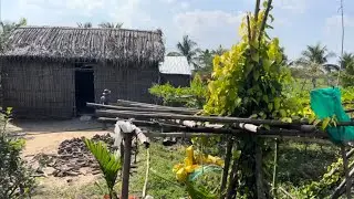 Khám Phá Vùng Quê Kiên Giang Mộc Mạc yên Bình Bà Con Sống Rất Là Bình Dị 