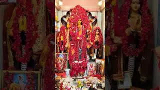 Jay Maa Manasa 🌺🌺🙏🙏