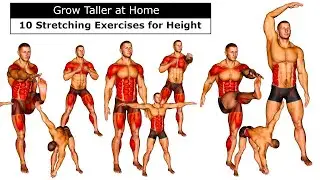 Increase Height After 18 | 16 Standing Stretches You Can Do at Home