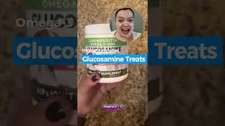 Best Dog Joint Supplement 2025 | Glucosamine, Omega-3, MSM & Chondroitin Chews Review
