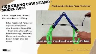 Alat Bantu Sapi Berdiri Pasca Melahirkan | Cattle Lifting Clamp Device