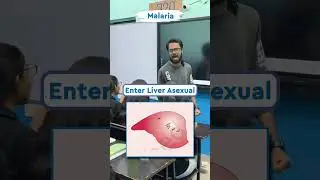 #malariaawareness #medicalstudent #vector #vectorbornediseases #doctor