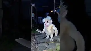 Craziest photos 📷 ||Ghost captured in camera😱|| #ghost #scary #ytshorts #horror