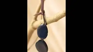 Artisanal Catalog-Tagua and Acai