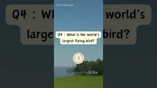 Trivia Challenge #triviacontest #funfacts #knowledge #educational #영어상식퀴즈 #killingtime